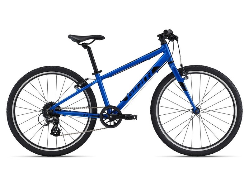 2022-2024 Giant ARX 24