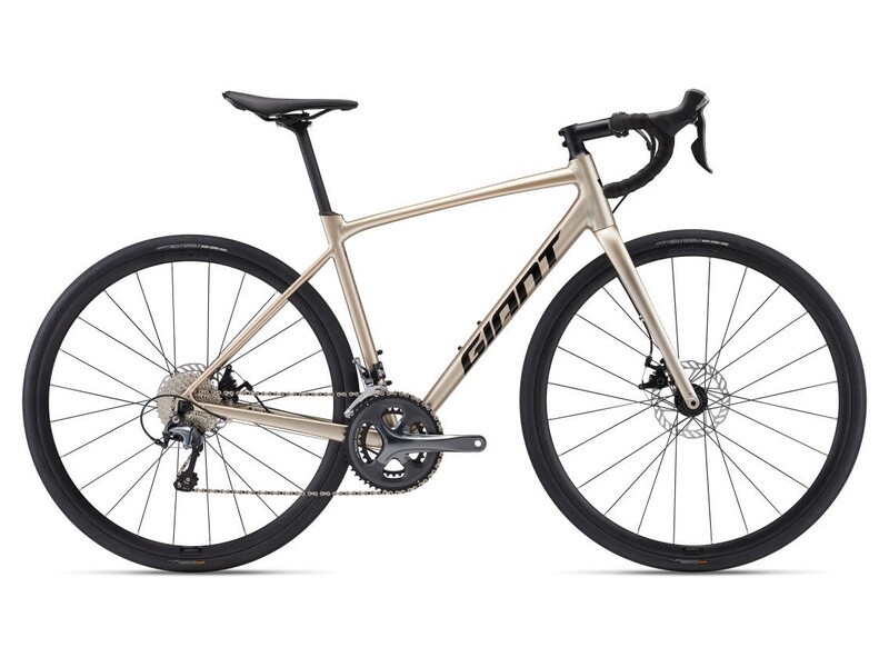 2024 Giant Contend AR 2