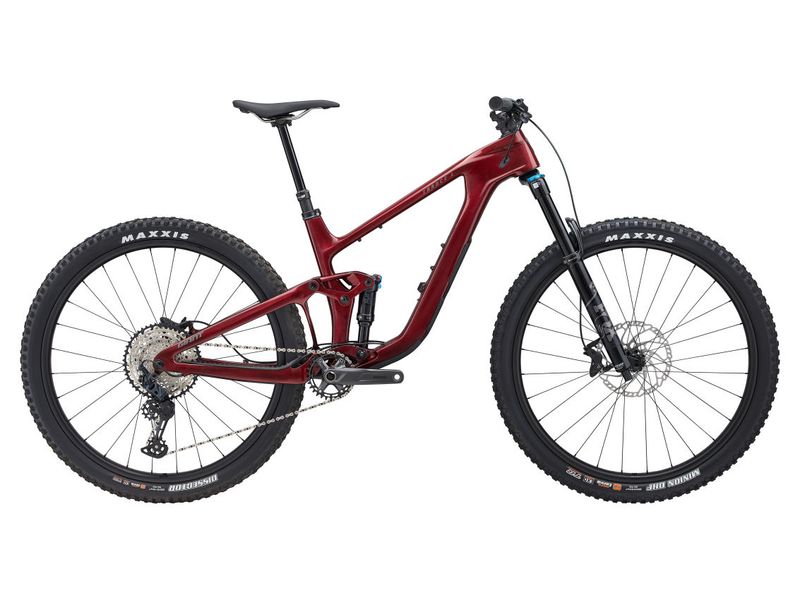 2024 - 2025 Giant Trance X Advanced 2