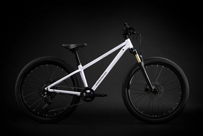 2025 Norco Charger 24 -