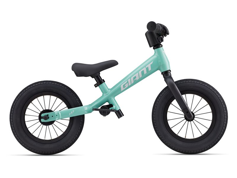 2024-25 Giant Pre Push -