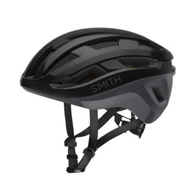 Casque Smith Persist MIPS -