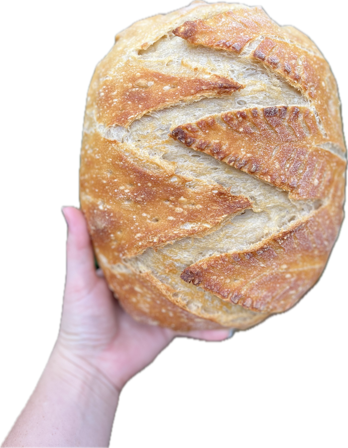 Sourdough Breads