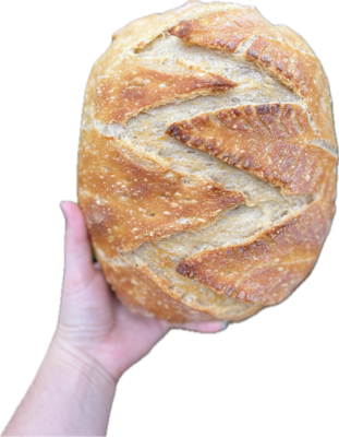 Sourdough Breads