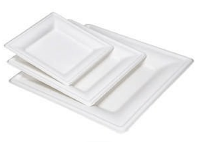 5INCH 6INCH 8INCH 10INCH
BAGASSE SUGARCANE
SQUARE PLATE