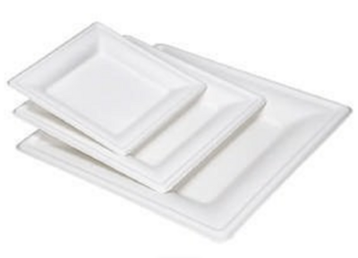 5INCH 6INCH 8INCH 10INCH
BAGASSE SUGARCANE
SQUARE PLATE
