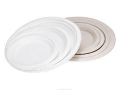 6 INCH 7 INC 9 INCH 10 INCH
BAGASSE SUGARCANE
ROUND PLATE