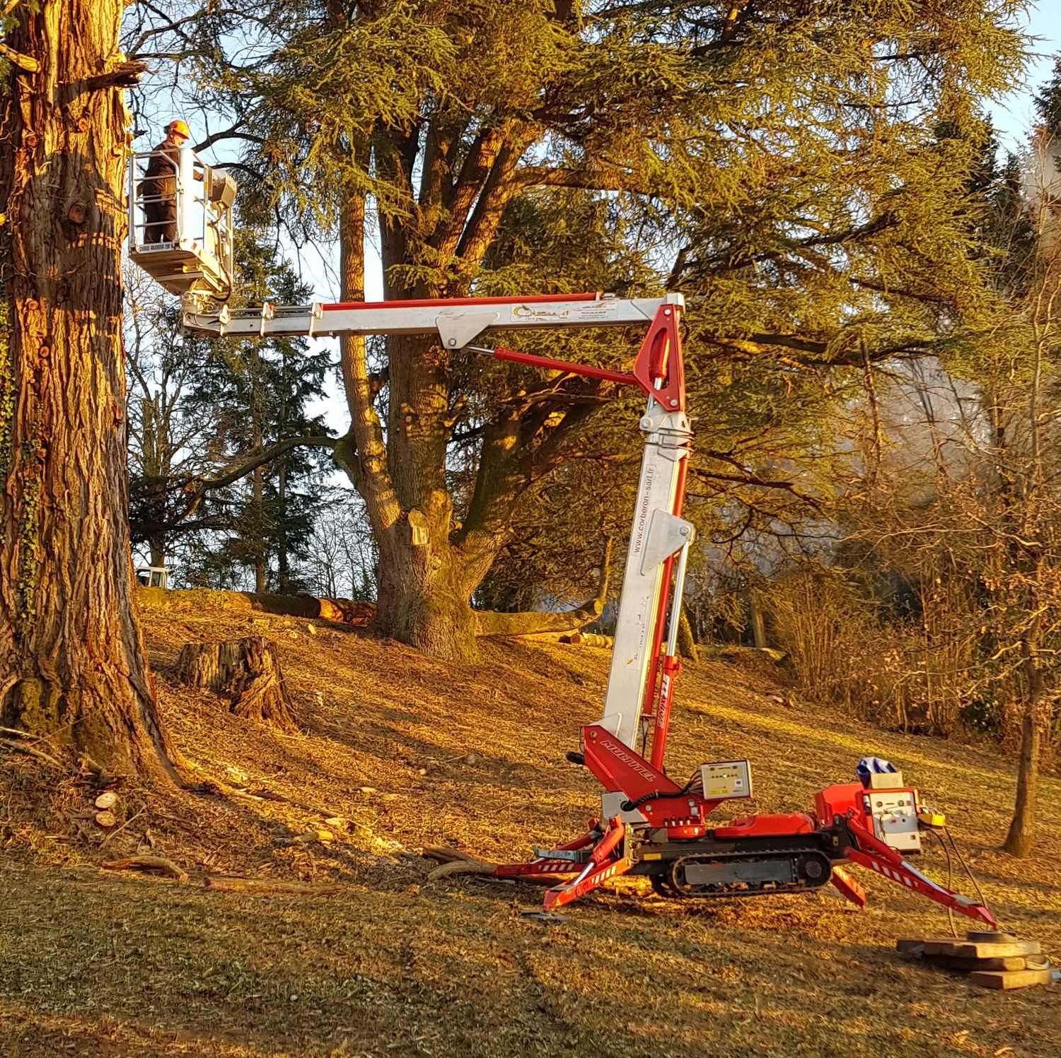 Nacelle araignée 22 m sur chenilles Palazzani TZX 225