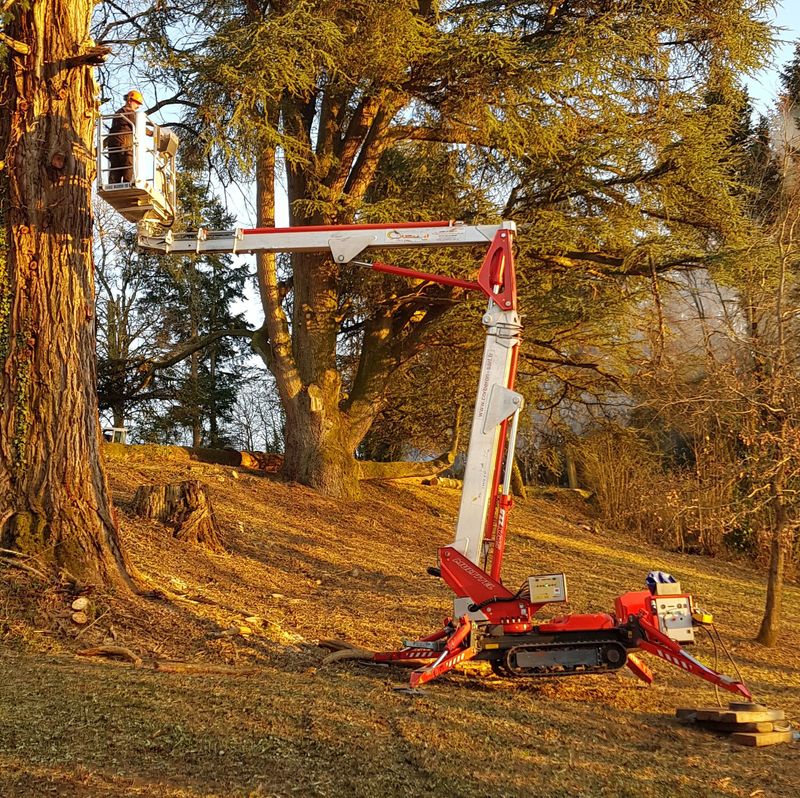 Nacelle araignée 22 m sur chenilles Palazzani TZX 225