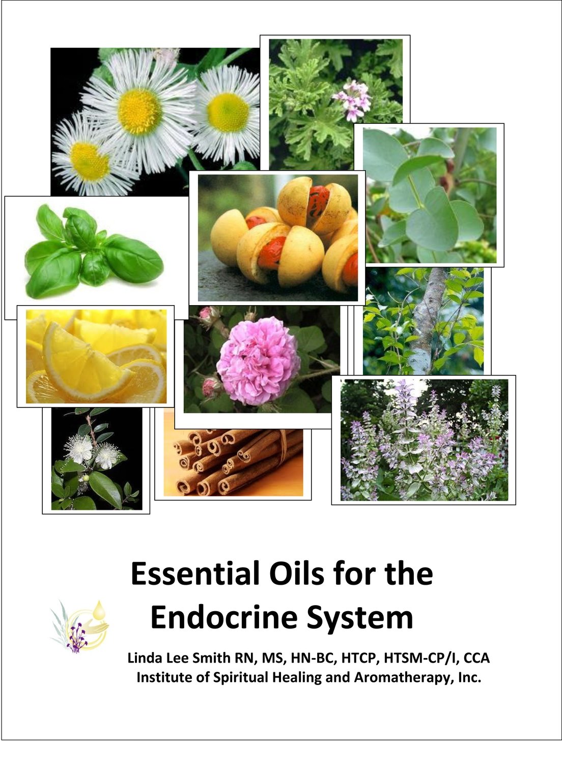 ​Essential Oils for the Endocrine System