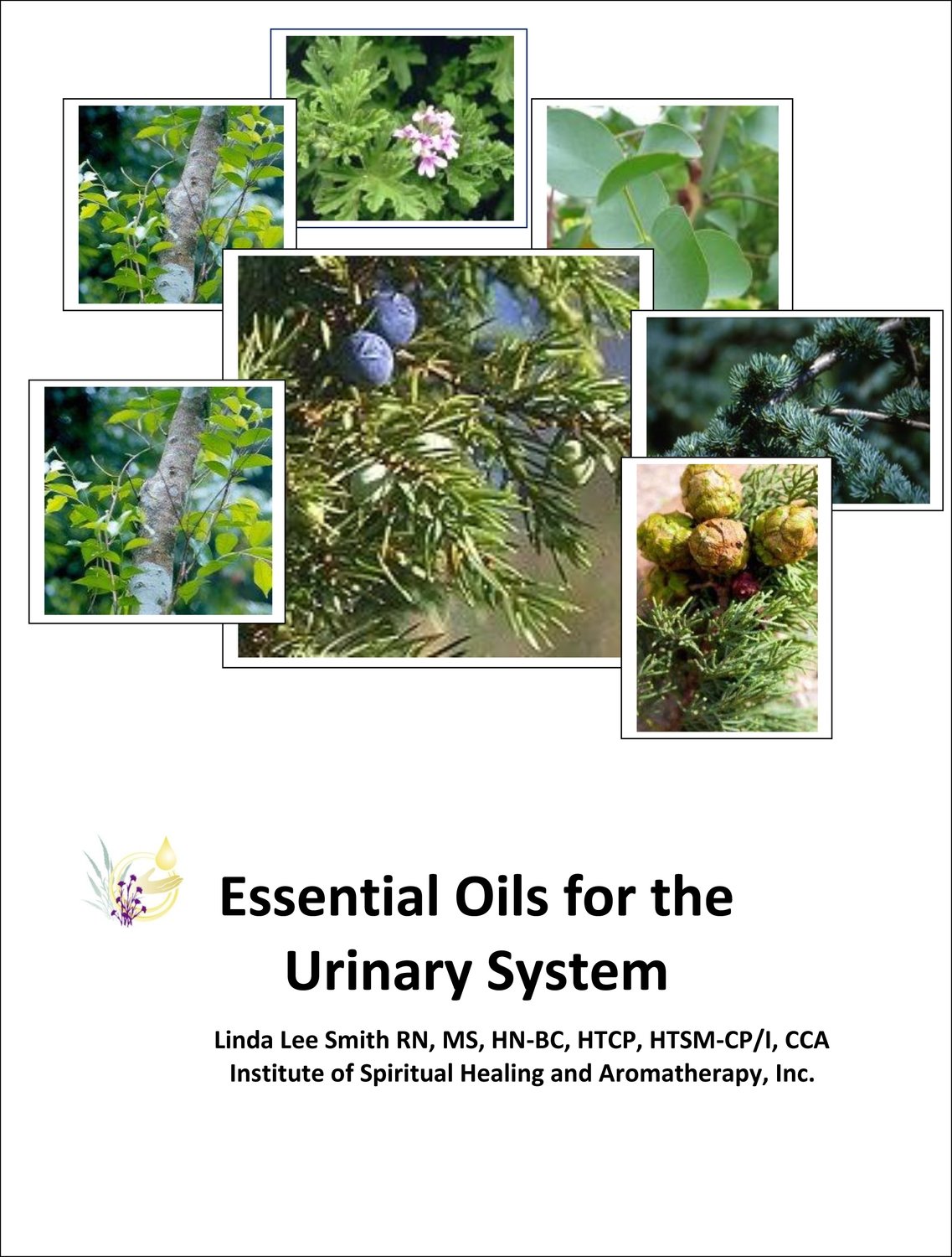 ​Essential Oils for the Urinary System