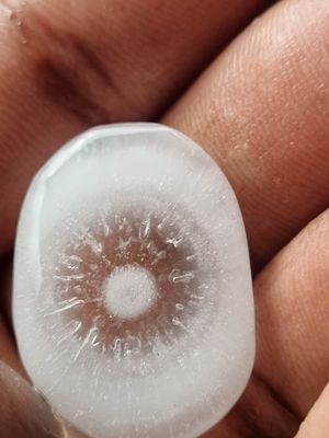 1 Check-up énergétique