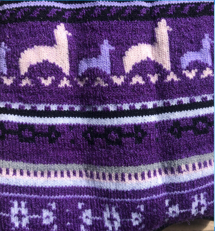 Alpaca Print Sock