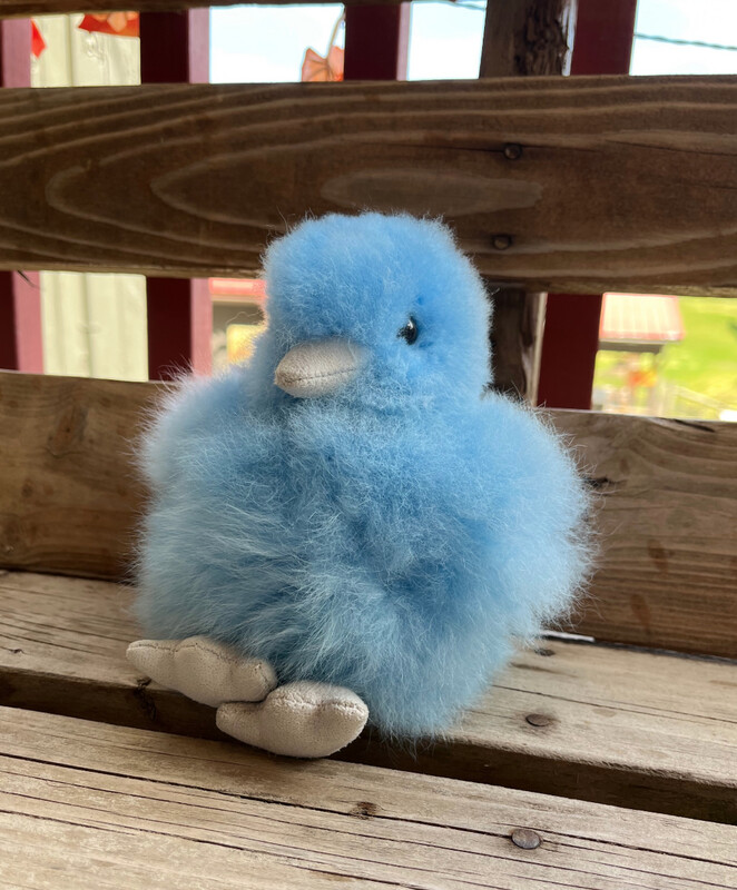 Baby Chicks