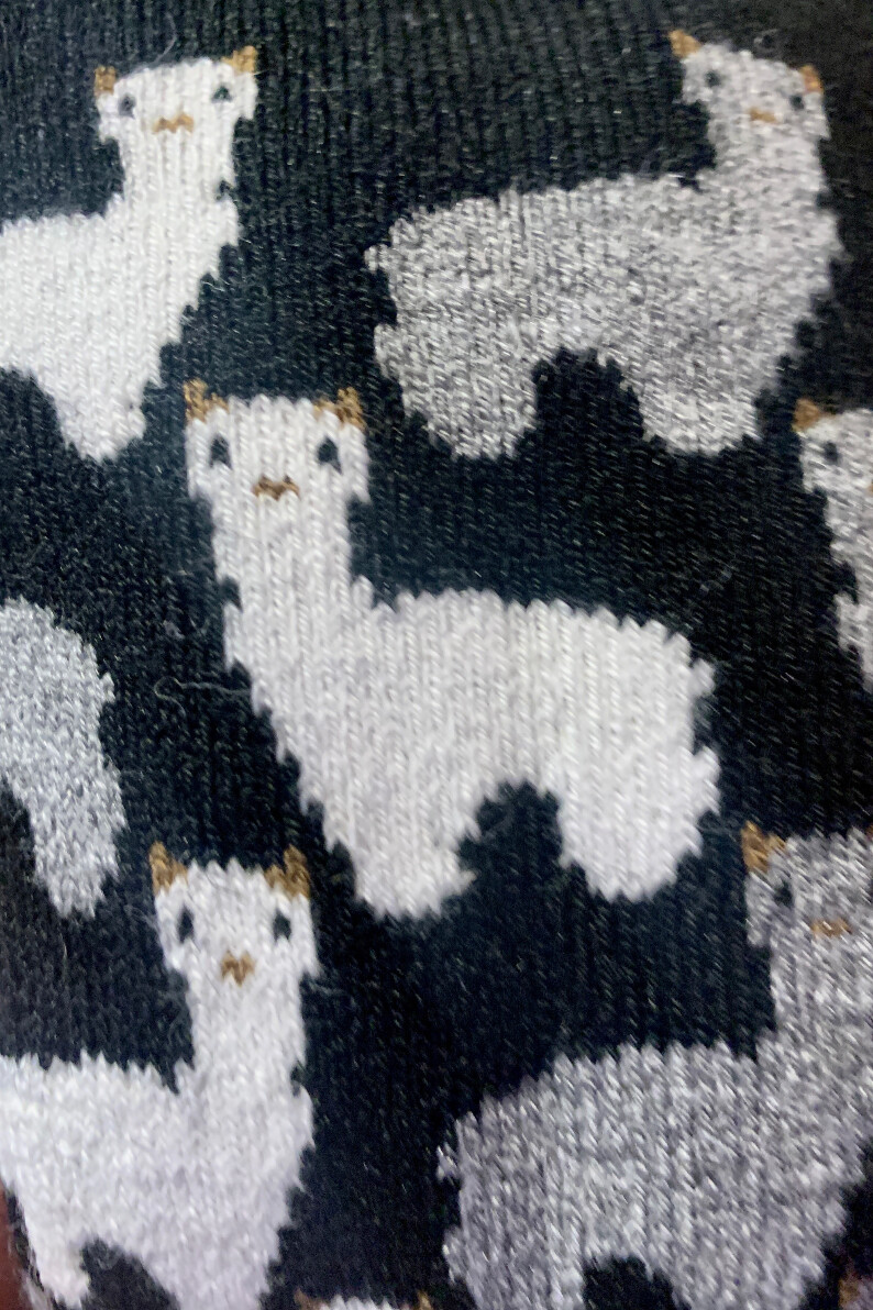 Alpaca Motif Sock, Size: sm/med, Color: Black
