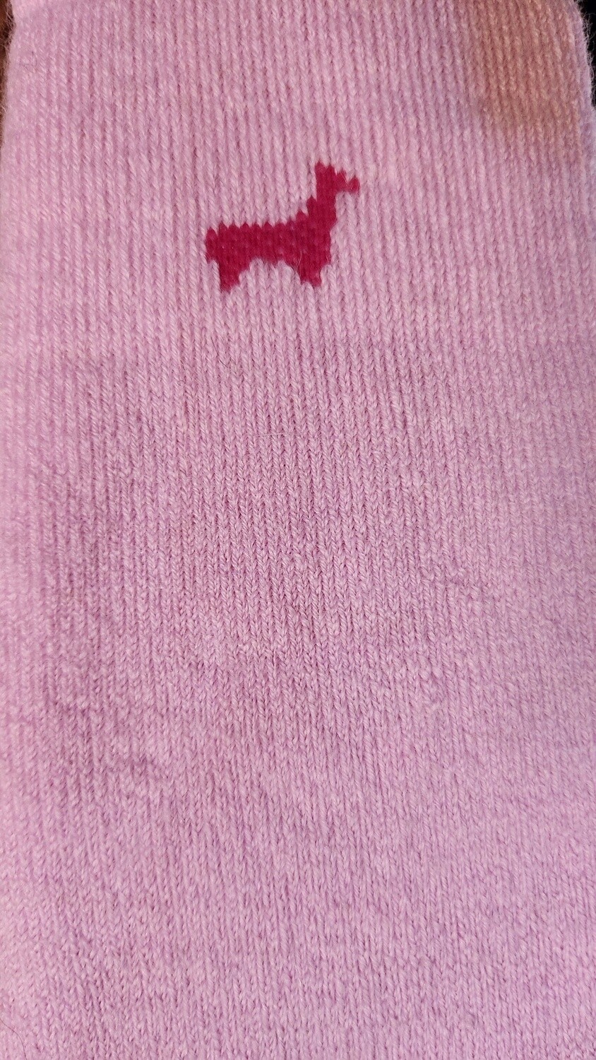 Everest Sock, Size: Medium, Color: Pink