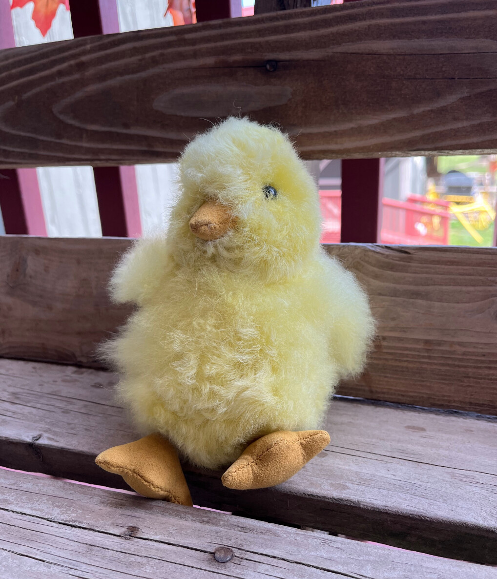 Baby Chicks, Color: Yellow, Size: small