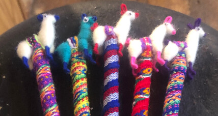 Alpaca Pen