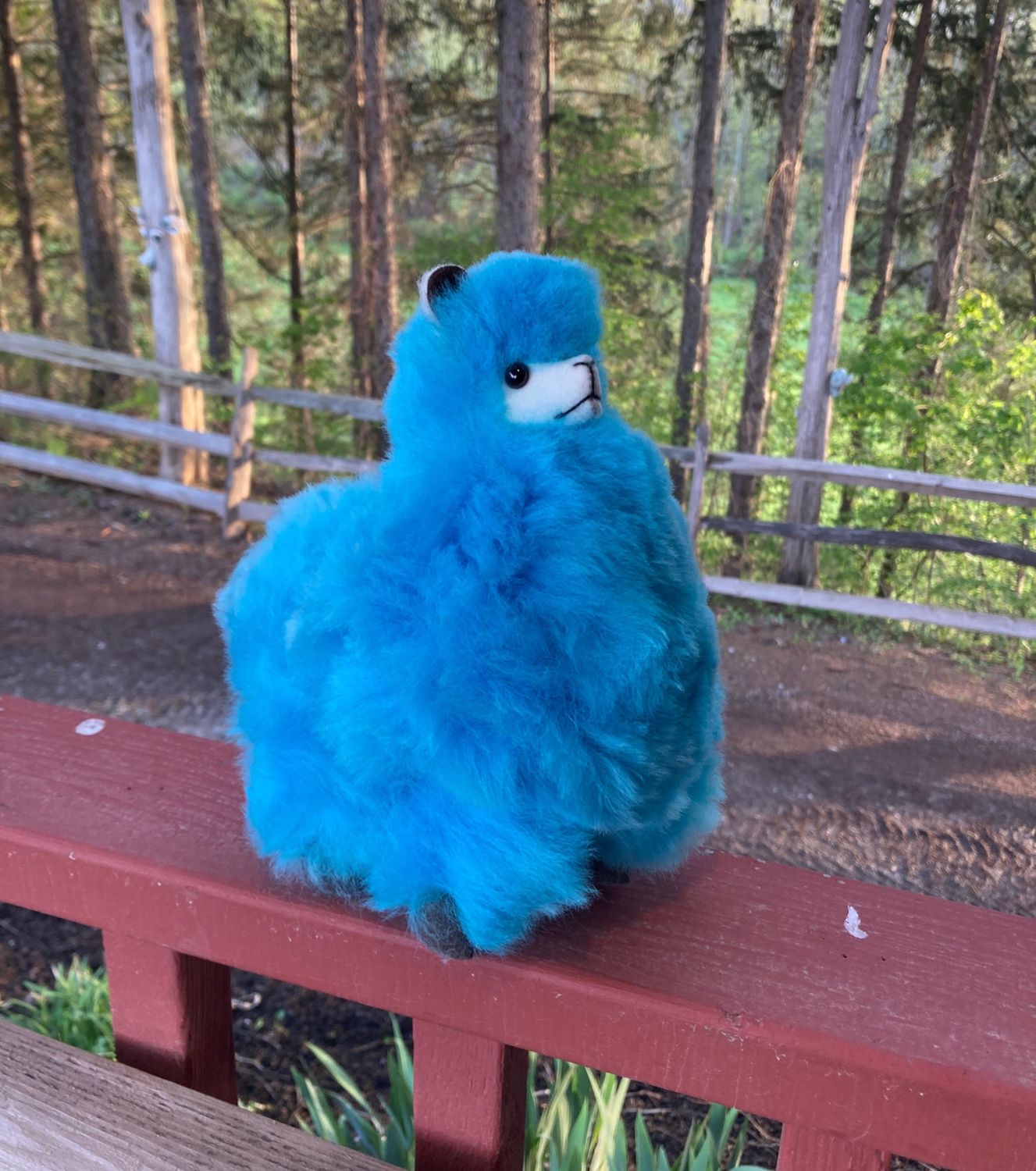 Parfait Alpaca, Color: Turquoise, Size: 5.5&quot;