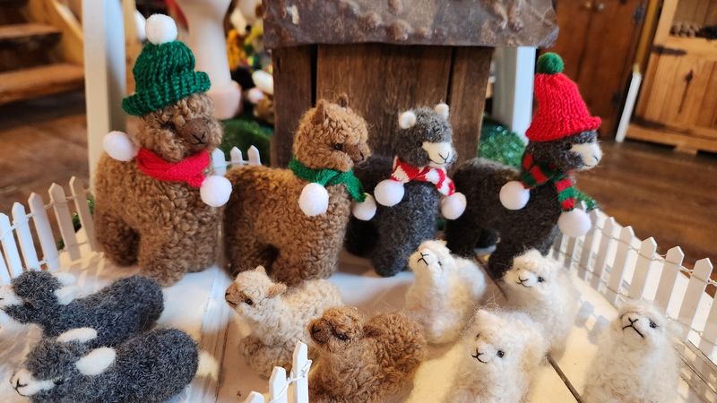 Alpaca Accessories