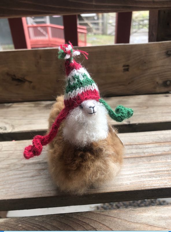 Alpaca Accessories
