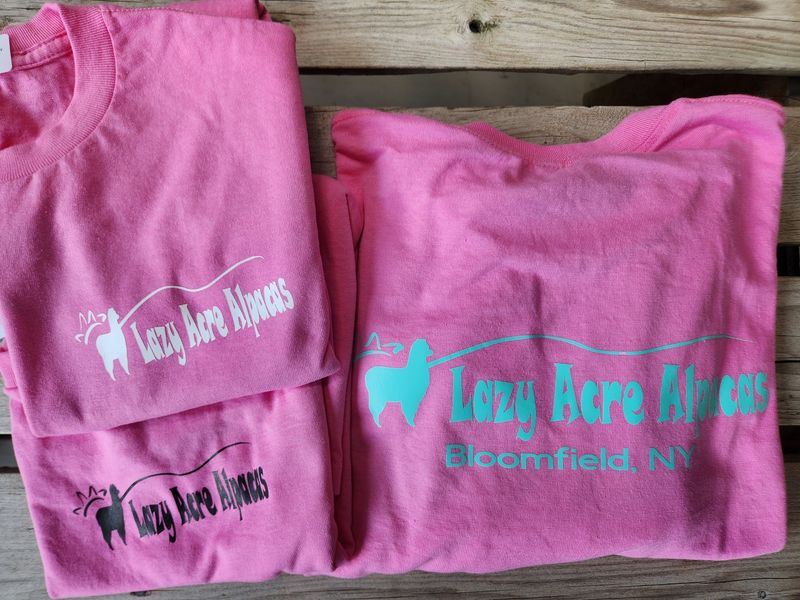 Adult T-shirts 2024