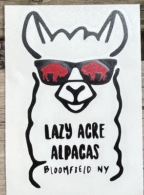 Alpaca Sunglass  stickers