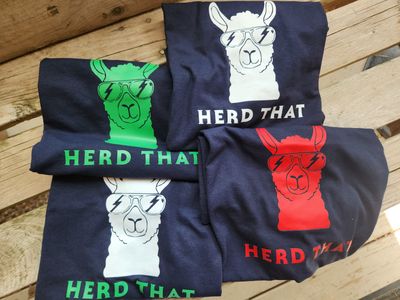 Adult T-shirts 2024