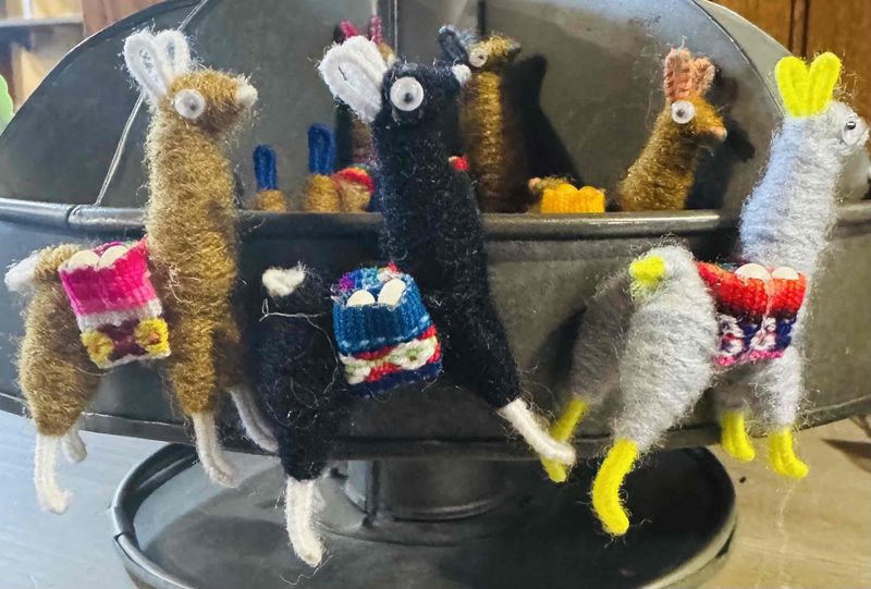 Alpaca Magnet