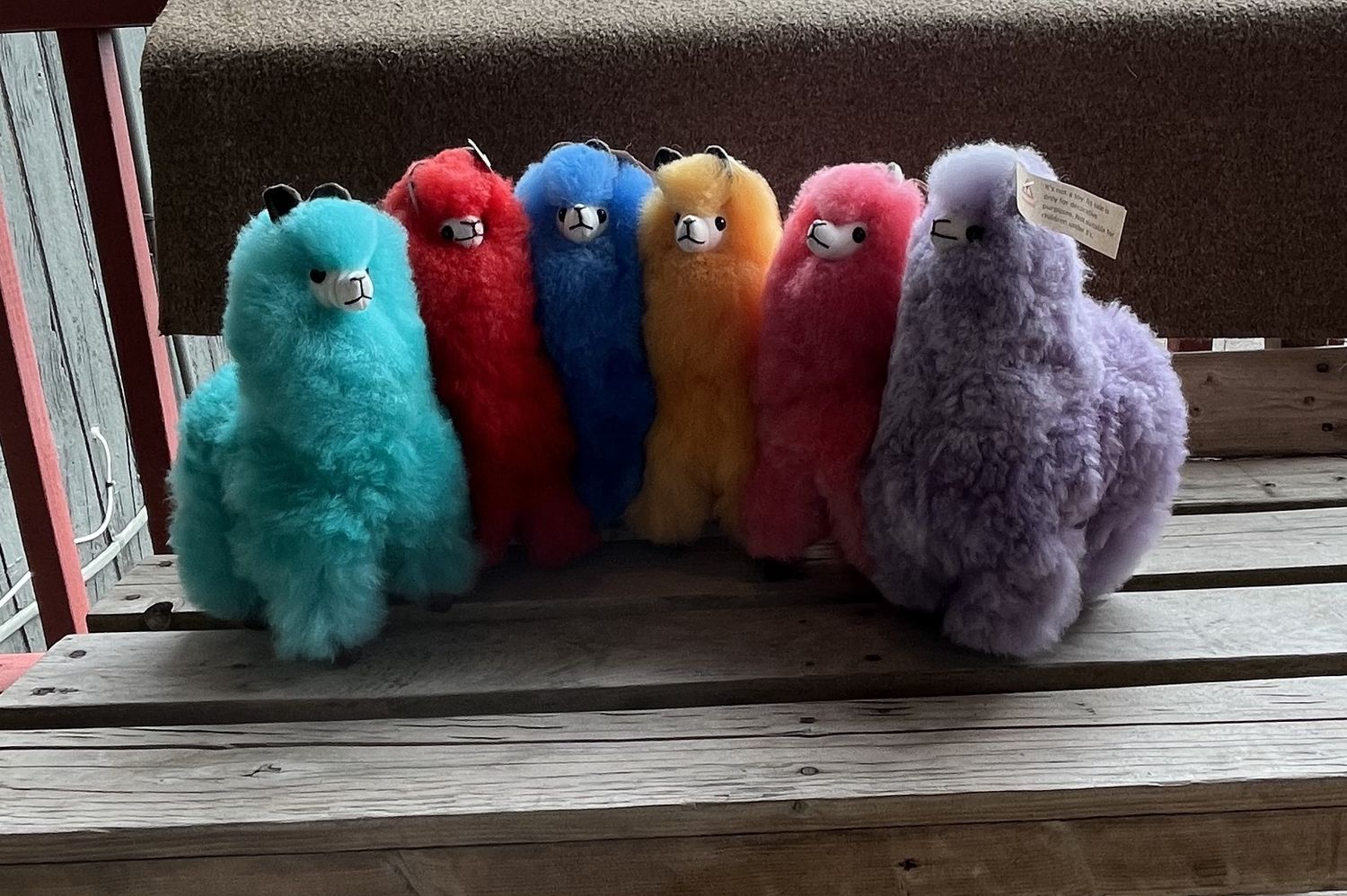 Standing Alpaca 12&quot;