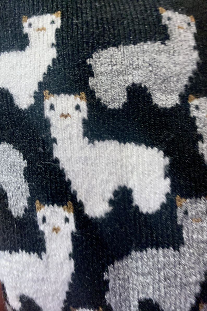 Alpaca Motif Sock, Color: Black, Size: sm/med