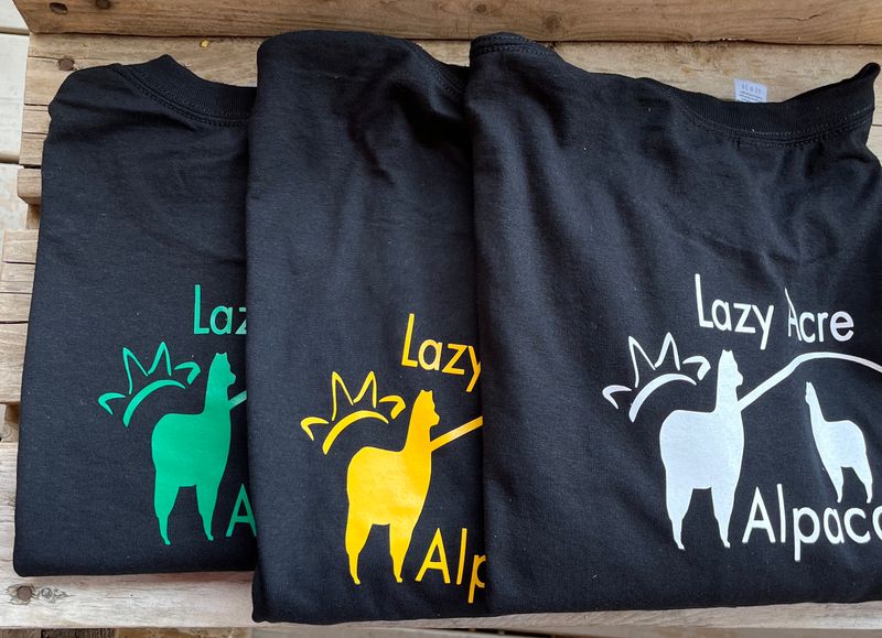 Adult T-shirts 2024
