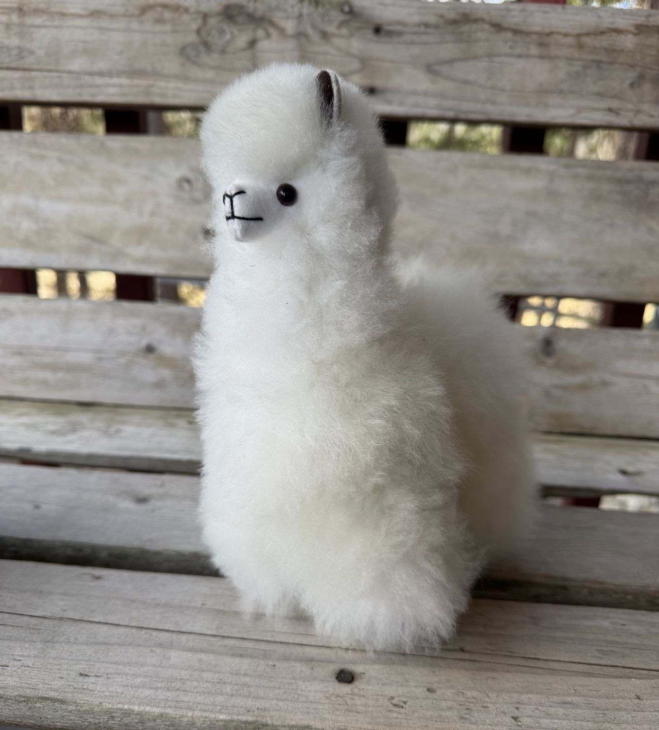 Fluffy Alpaca 8-9", Color: White