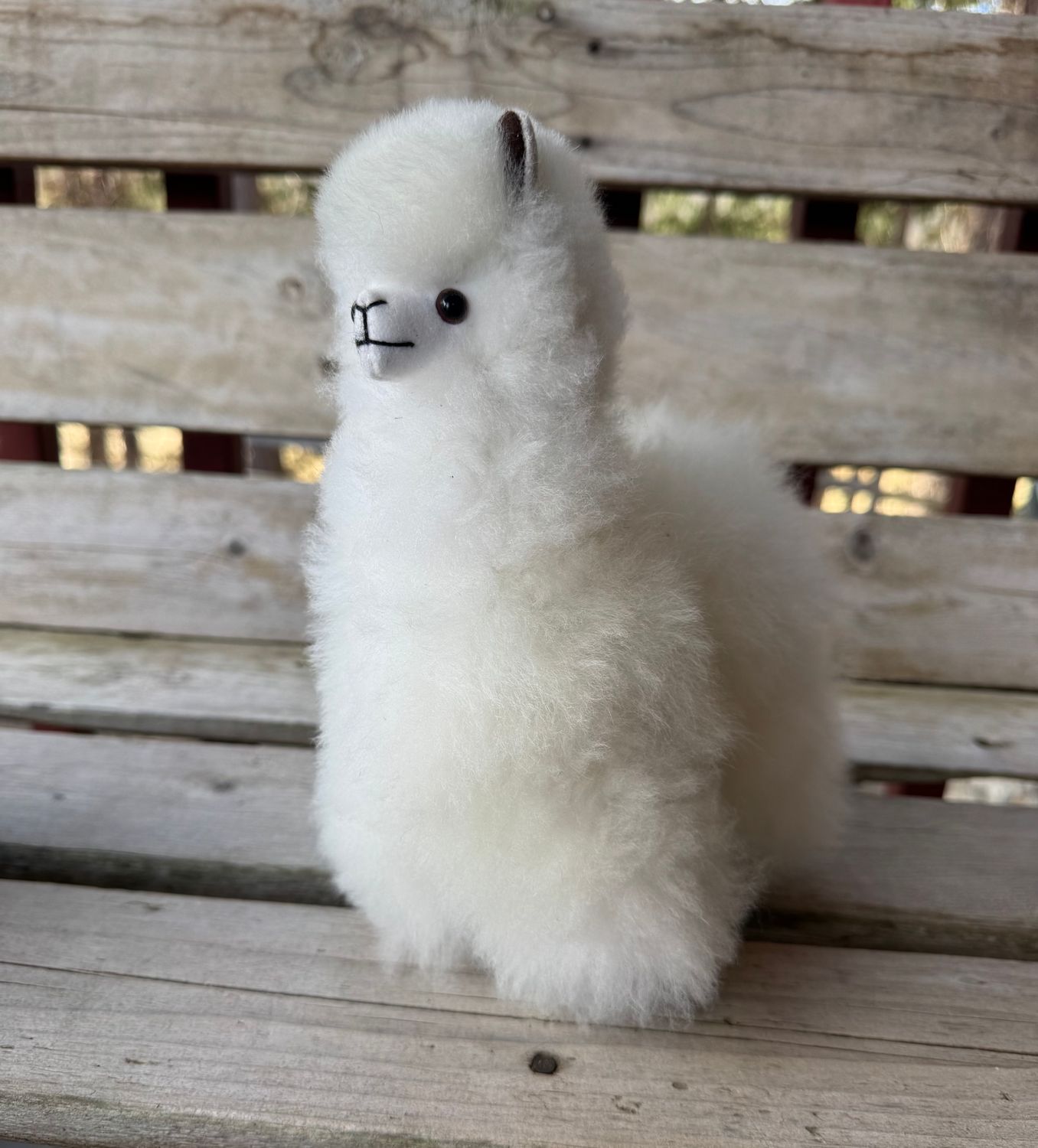 Fluffy Alpaca 8-9", Color: White, style: Huacaya
