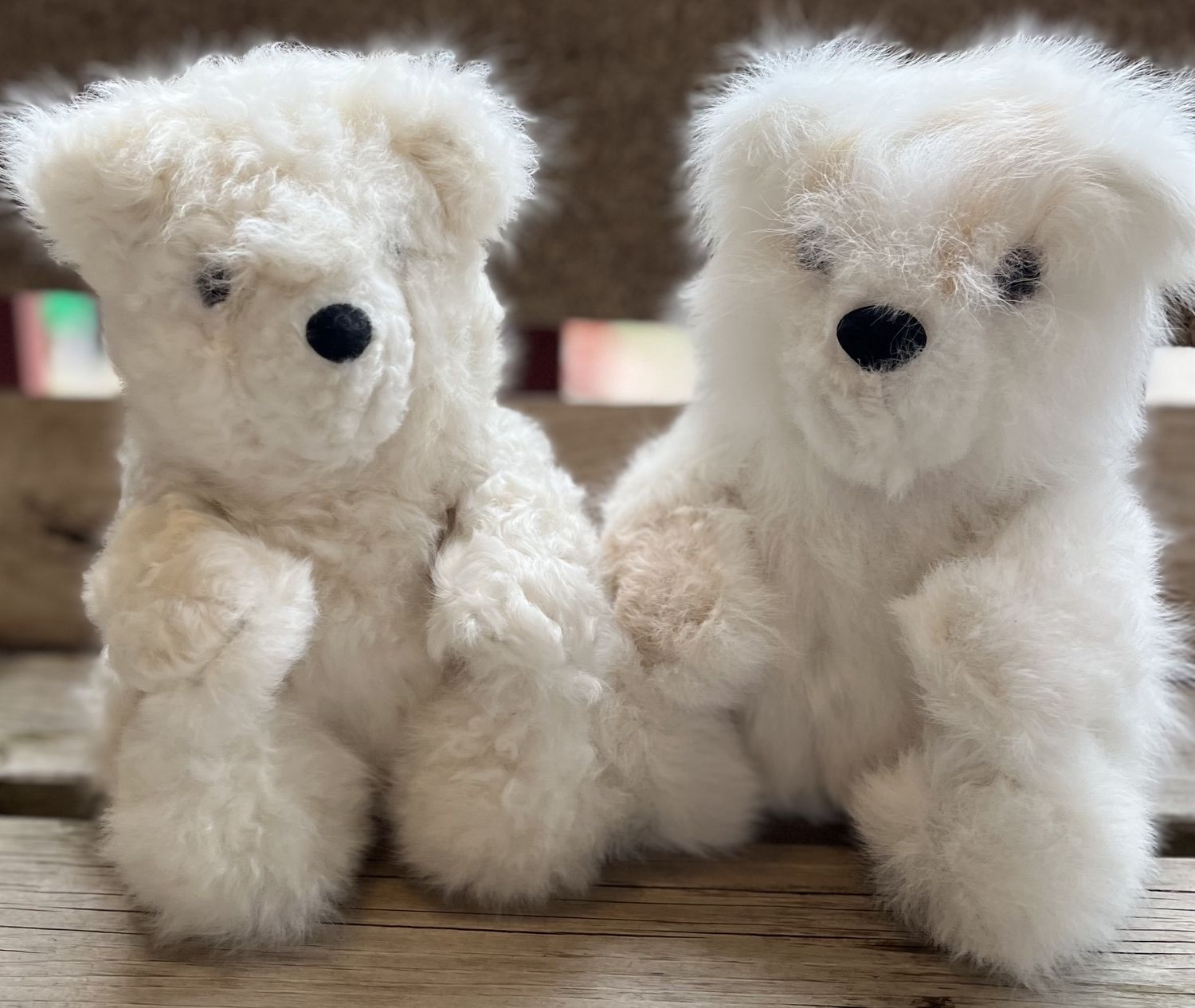 Sitting Bear