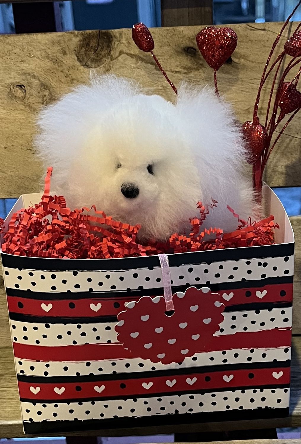 Valentine Day Special, style: Option 1 Teddy white