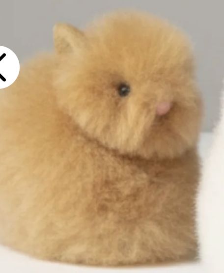 Bunny, Color: Peruvian Fawn