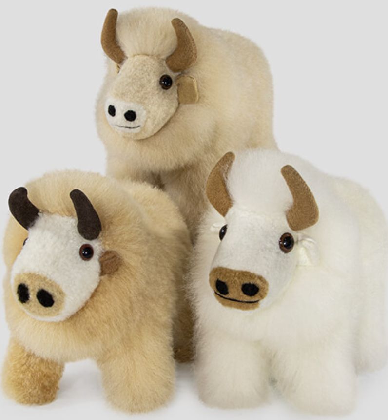Alpaca Bull, Color: Fawn