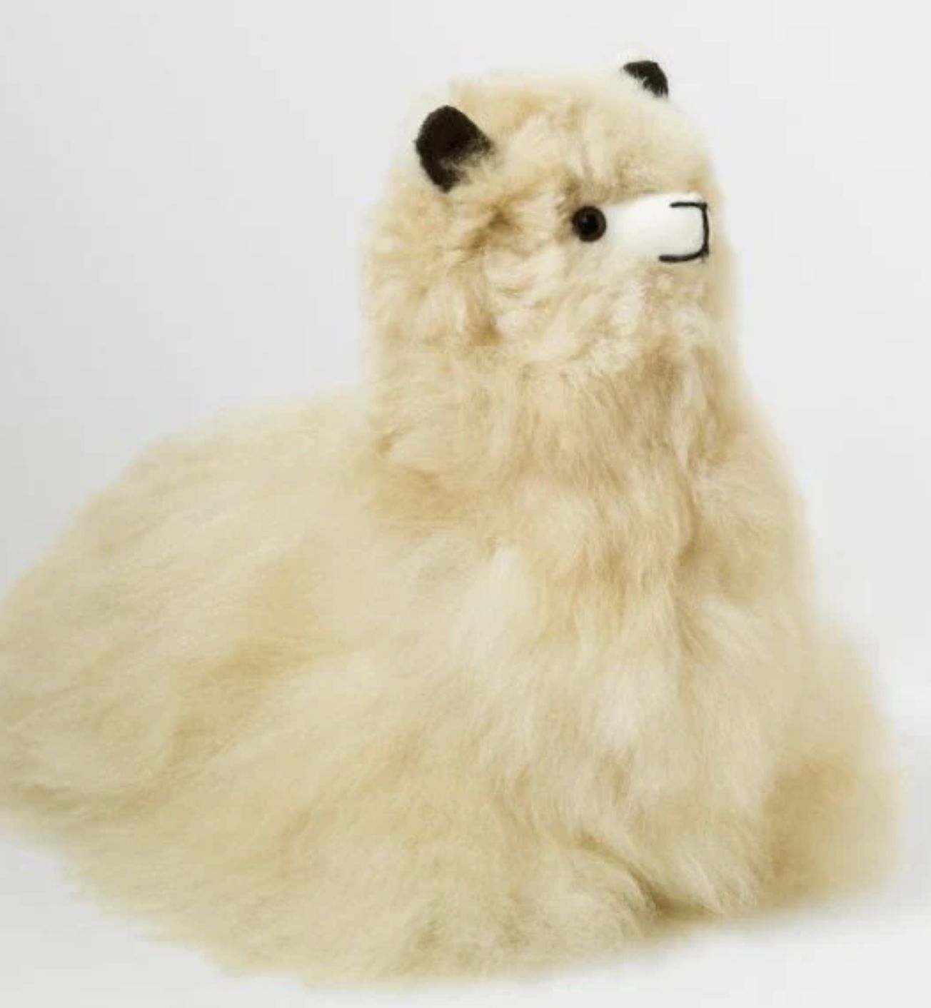 Cushing Alpaca