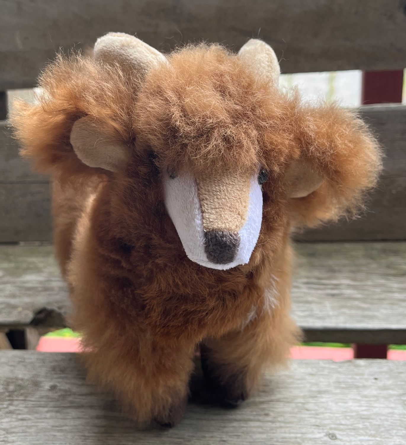 Goat, Color: Brown