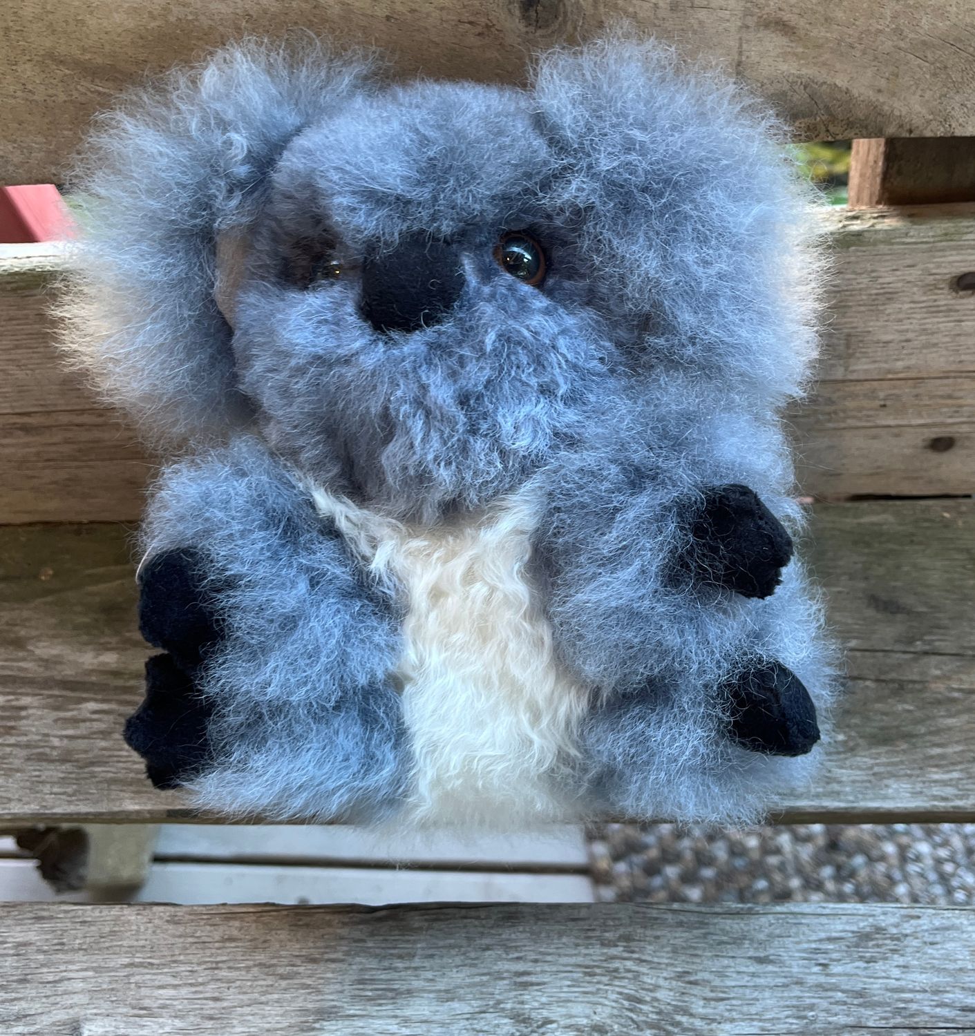 Koala Bear