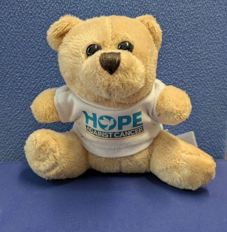 Hopey McResearch Bear Hopey McResearch Bear