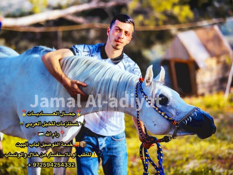 رشمة صوف لونين
