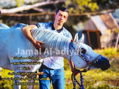 رشمة صوف لونين