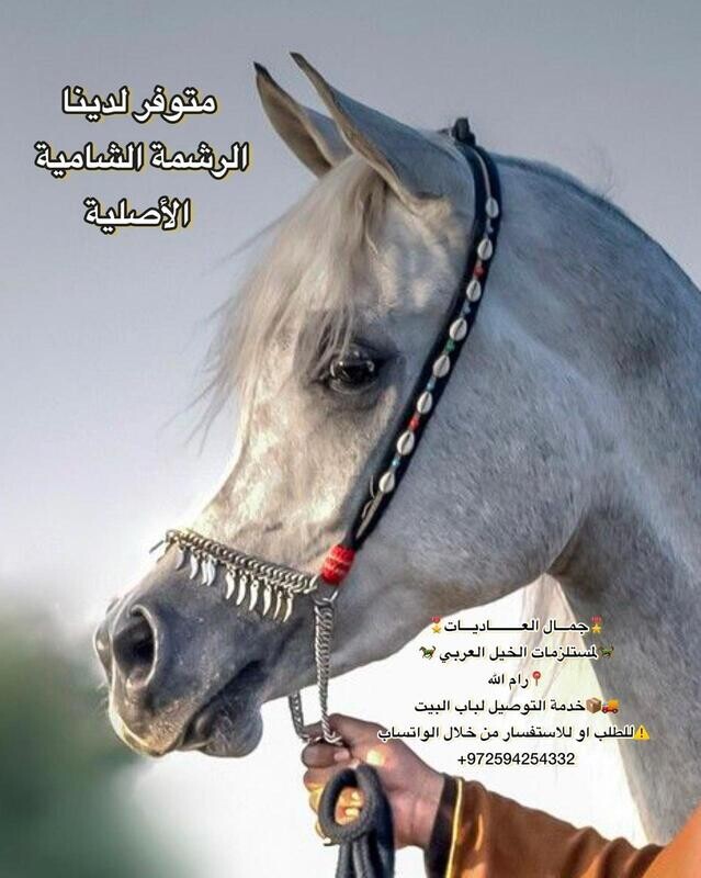 رشمة صوف شامية