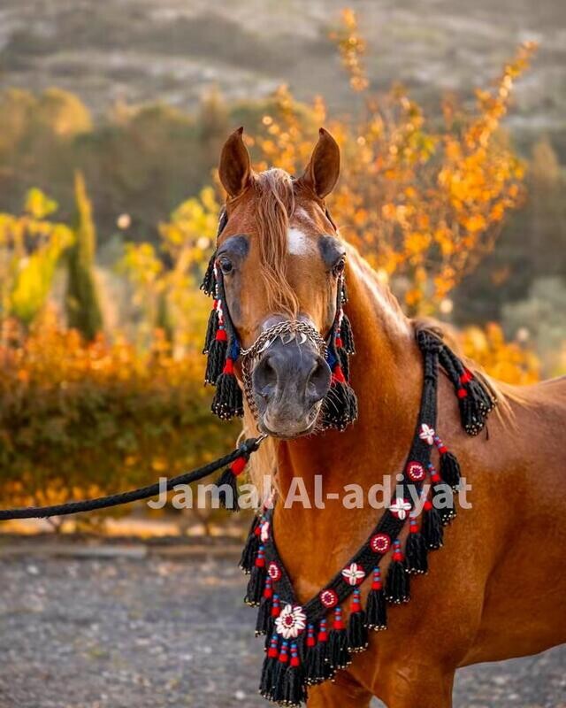 طقم صوف غزل يدوي / 3 قطع