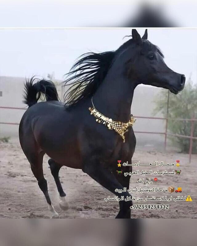 عُقد معدن