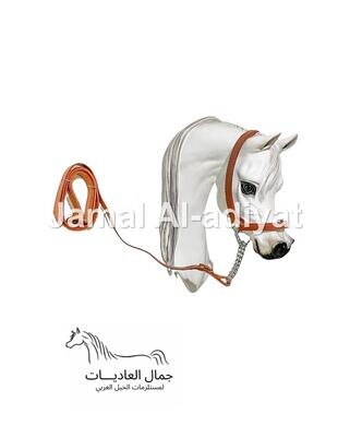 رشمة تدريب جلد