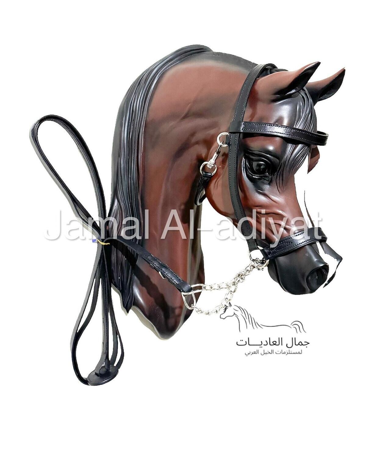 رشمة تدريب جلد مع جنزير وحبل جلد 3 م