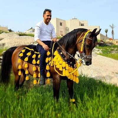 أطقم زينة / لباده مع صدرية